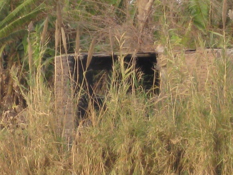 IMG_0993.JPG, 149532 bytes, 22/02/2008