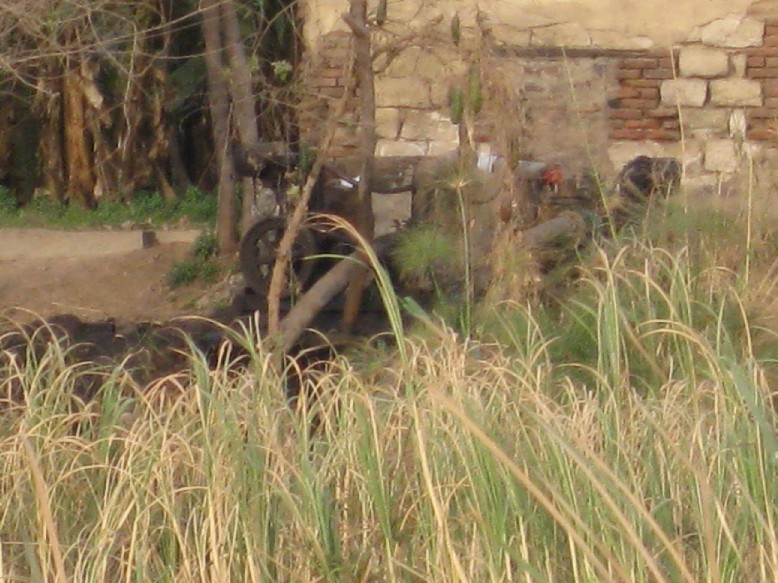 IMG_0994.JPG, 144837 bytes, 22/02/2008