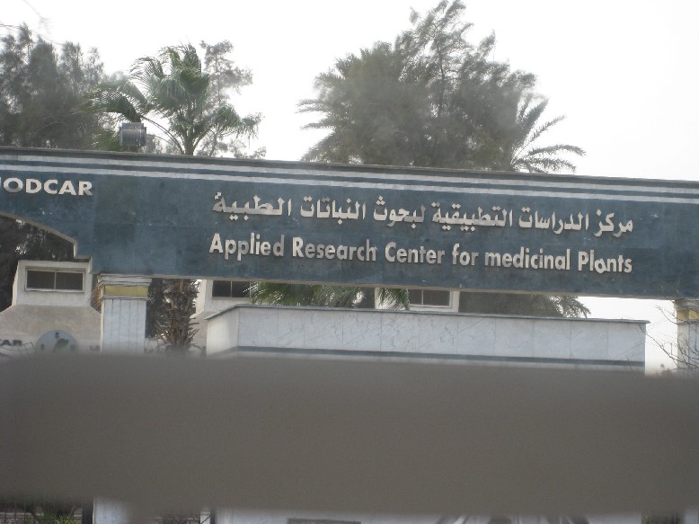 IMG_1167.JPG, 102698 bytes, 22/02/2008