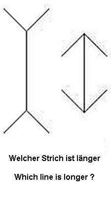 slide011.jpg, 10450 bytes, 13.05.03